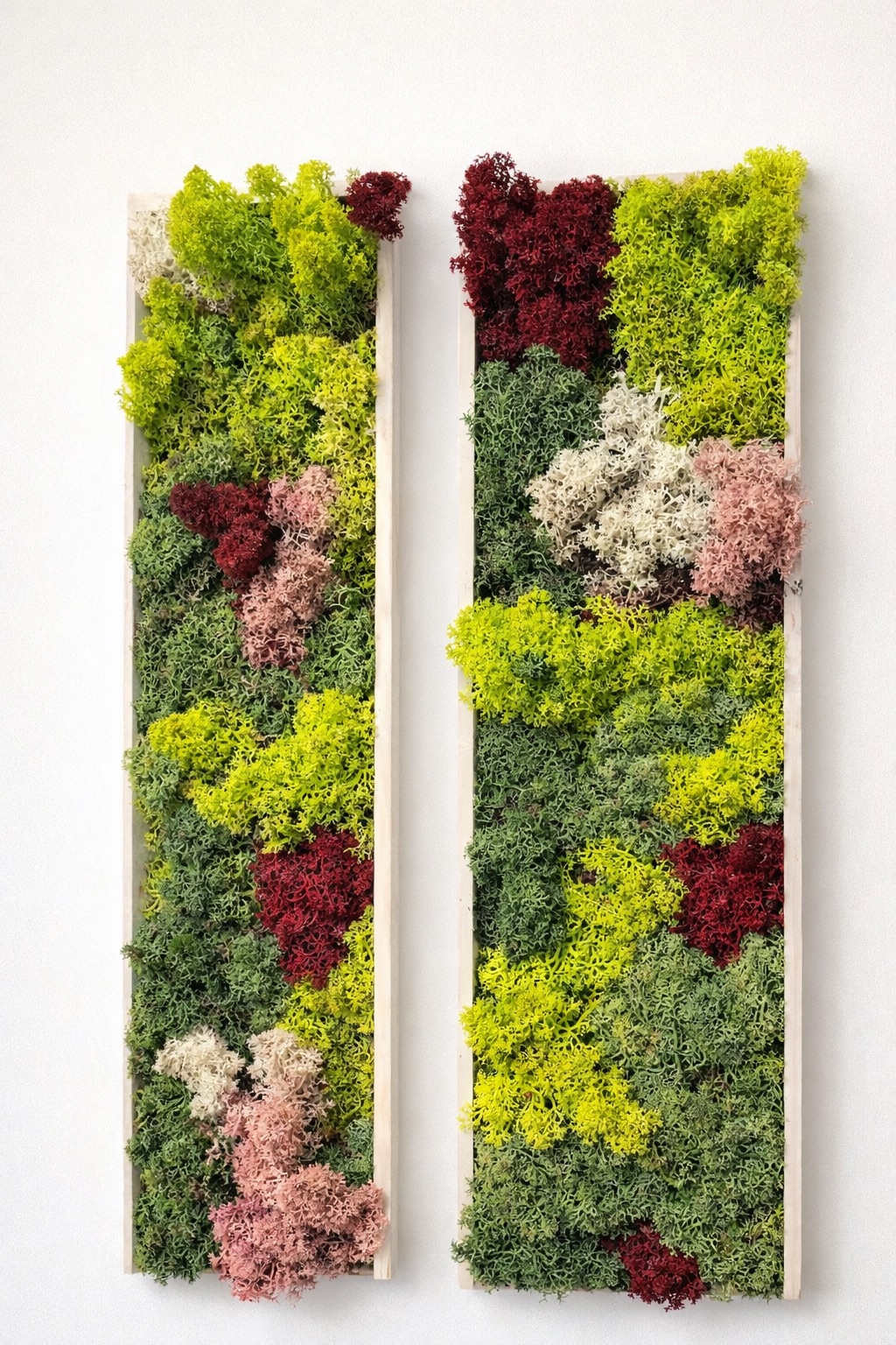 Moswand & Droogbloemen 5