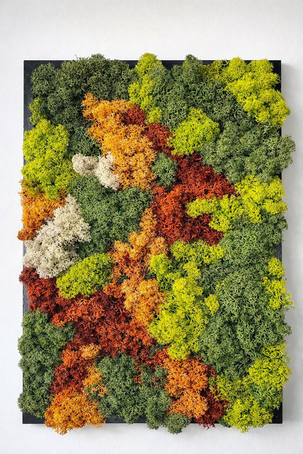 Moswand & Droogbloemen 6