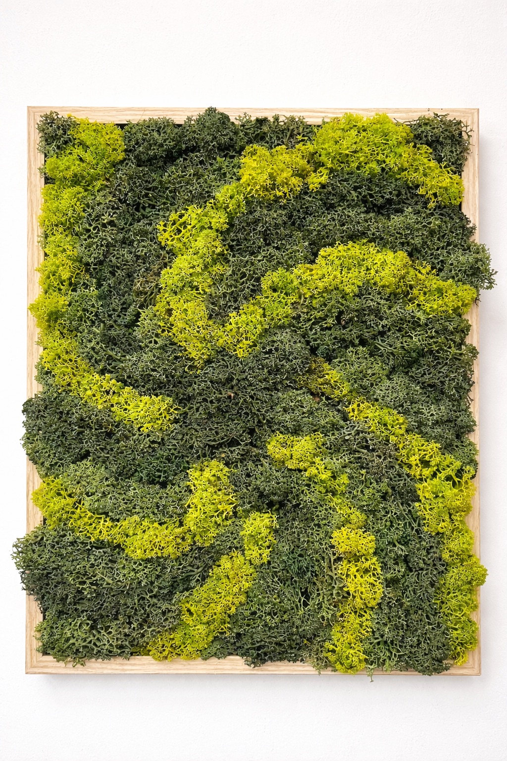 Moswand & Droogbloemen 7