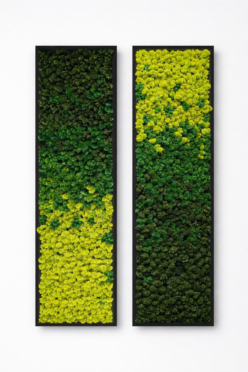Moswand & Droogbloemen 9