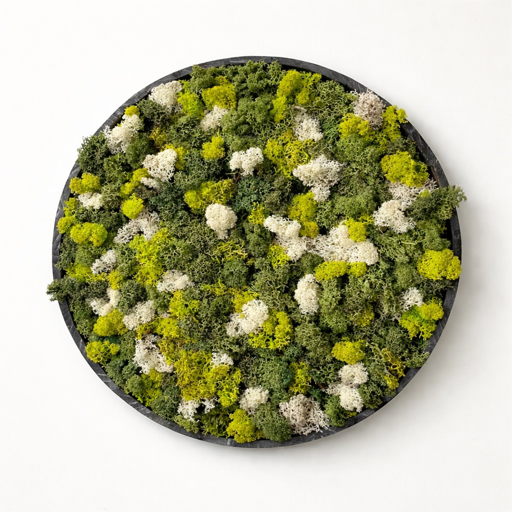 Moswand & Droogbloemen 12