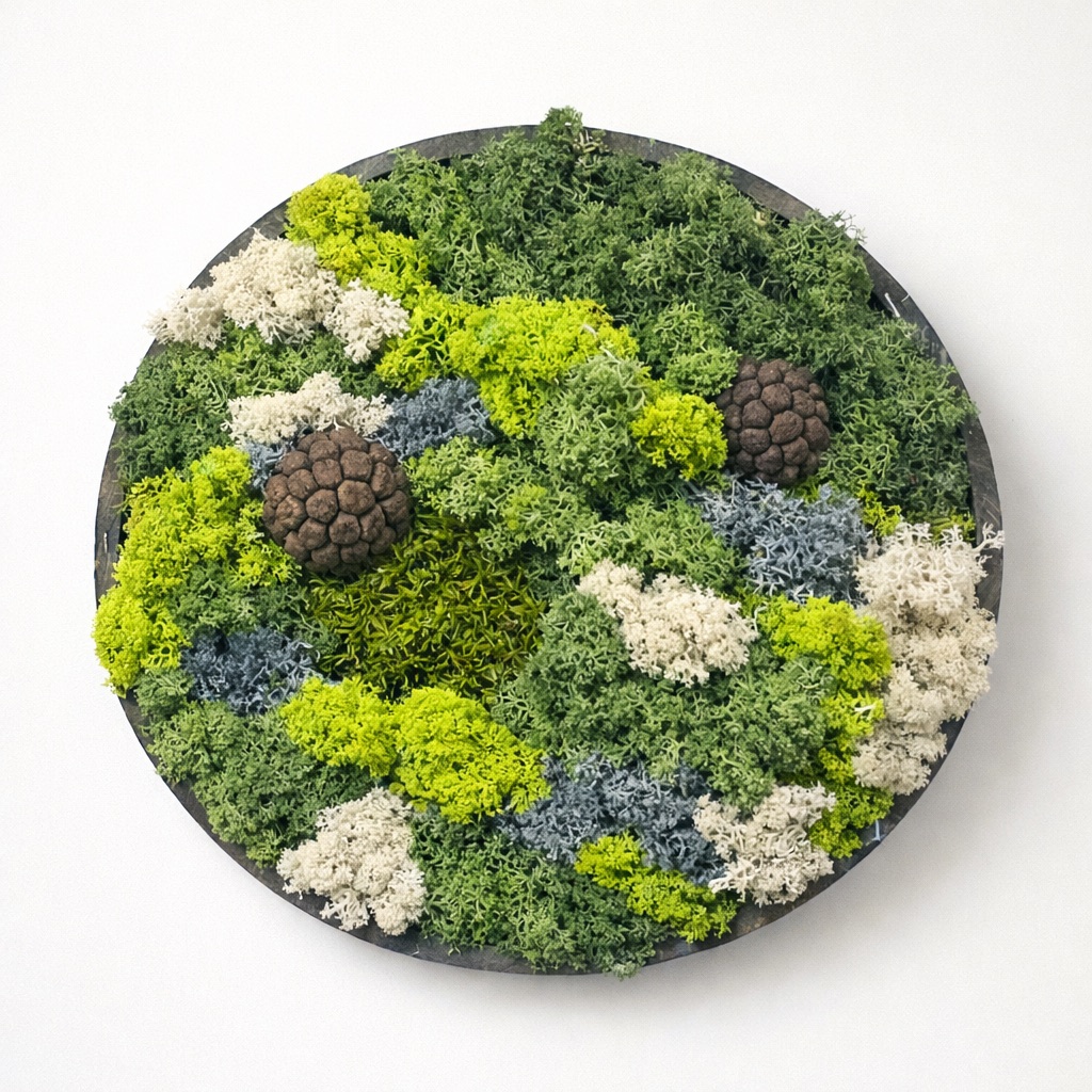 Moswand & Droogbloemen 13