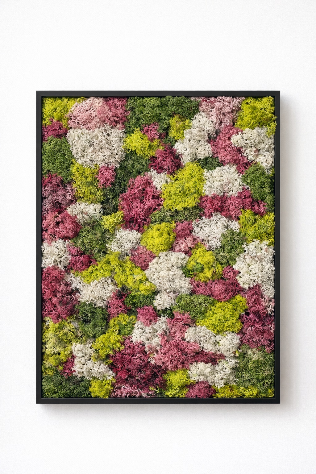 Moswand & Droogbloemen 16