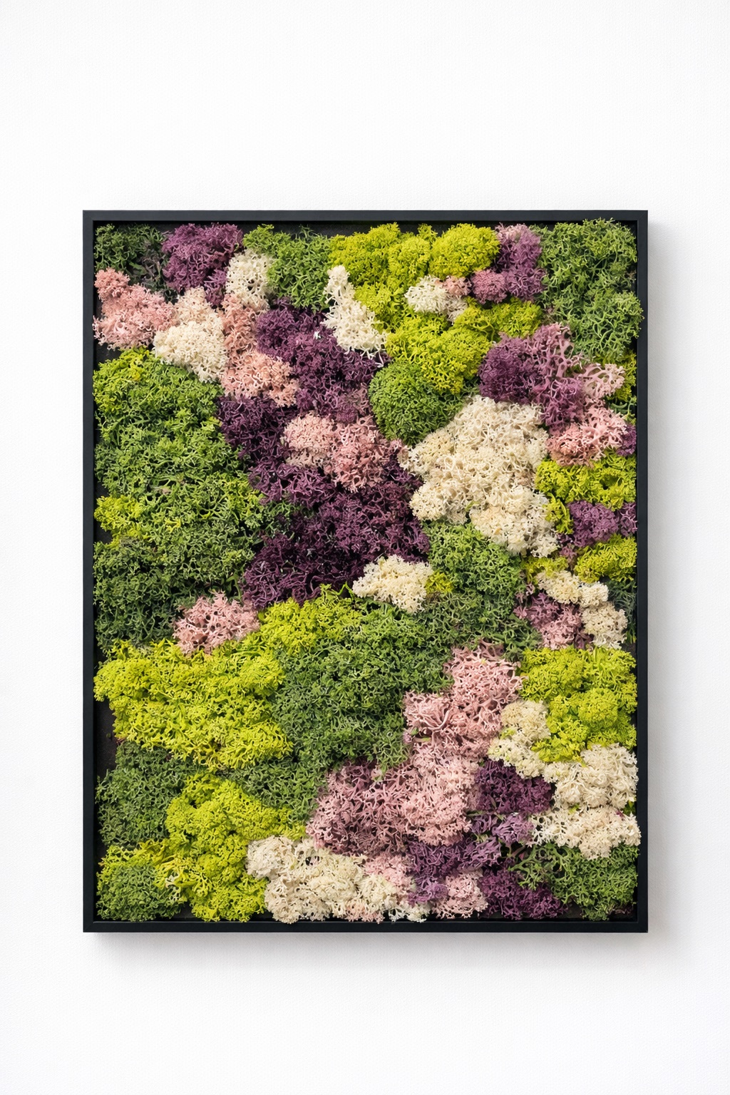 Moswand & Droogbloemen 17
