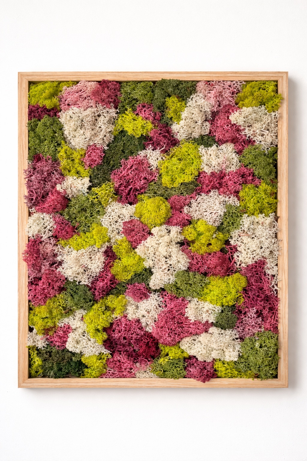 Moswand & Droogbloemen 18