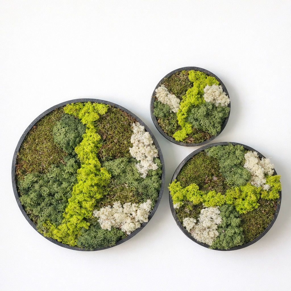 Moswand & Droogbloemen 19